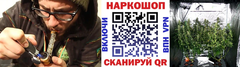 APVP Мурино