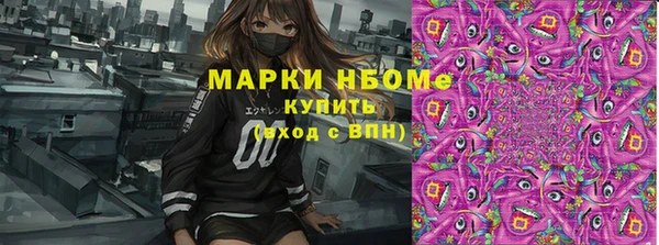 дживик Бородино